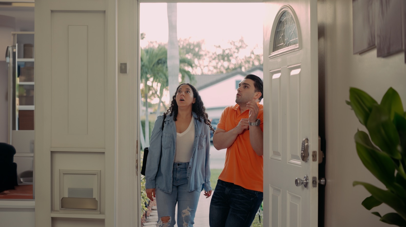 Dingdoor Commercial